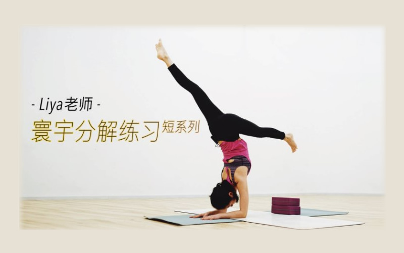 Liya Xiong.寰宇瑜伽分解短练习系列，多维瑜伽体系有效开发身体
